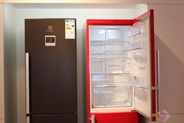 款款都是精品 十大高端白色家電匯總 11