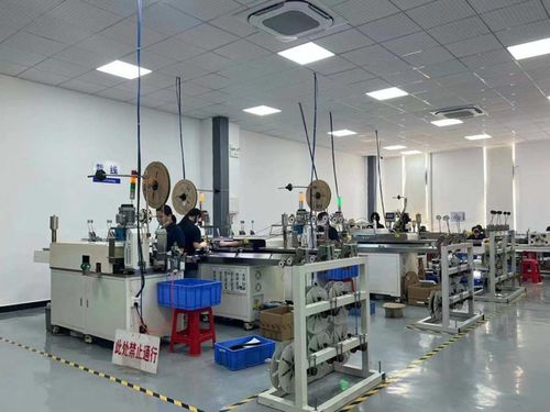 廠二代大小姐接班珠三角電子廠 既要有命,又要本領(lǐng)過(guò)硬