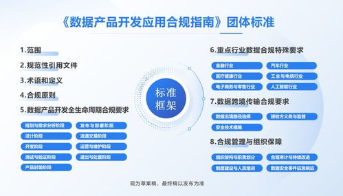 全國(guó)首部數(shù)據(jù)產(chǎn)品開(kāi)發(fā)應(yīng)用合規(guī)標(biāo)準(zhǔn)即將出臺(tái)，信息技術(shù)咨詢(xún)服務(wù)助力企業(yè)合規(guī)轉(zhuǎn)型