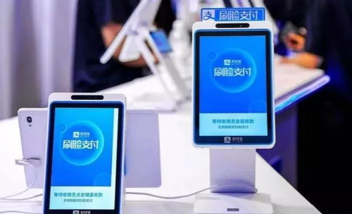 刷臉支付 撬動數(shù)字營銷新紀(jì)元與數(shù)碼產(chǎn)業(yè)新增長